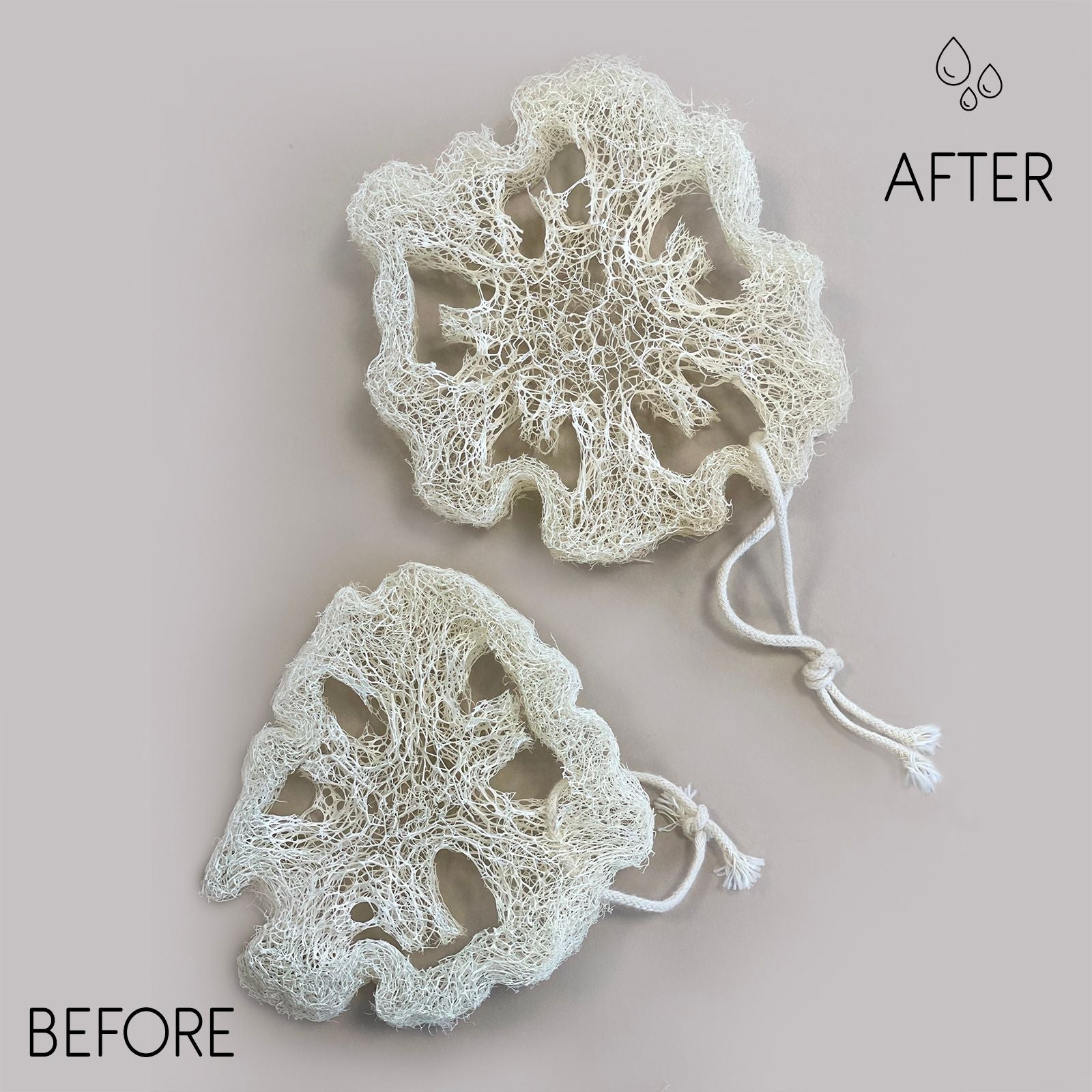 Egyptian Luxury Loofah with Cotton String - Non-Compressed - 2cm