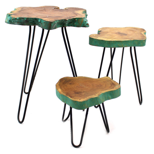 Set of 3 Gamell Wood Plant Stands - Greenwash
